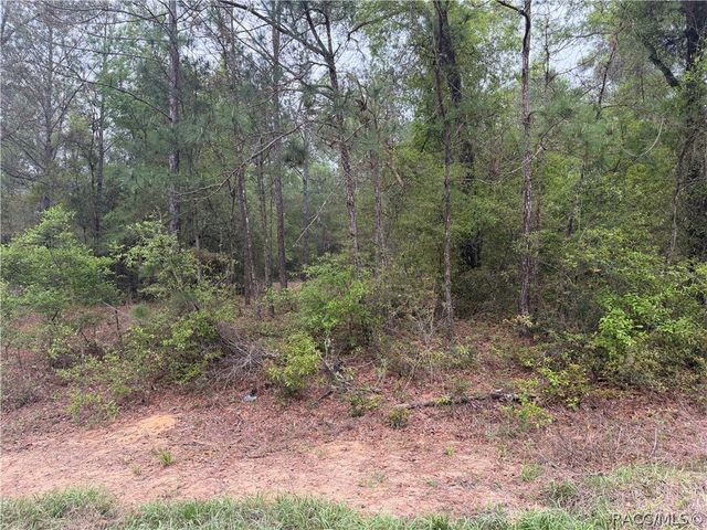 1512 E Carson Road, Dunnellon, FL 34434