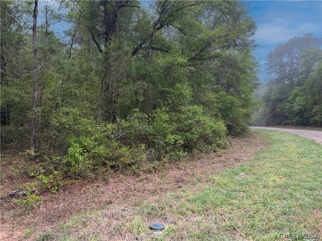 1512 E Carson Road, Dunnellon, FL 34434