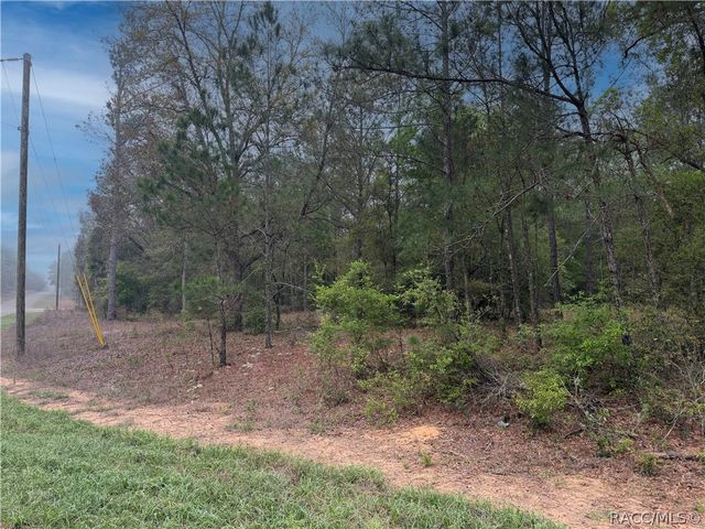 1512 E Carson Road, Dunnellon, FL 34434