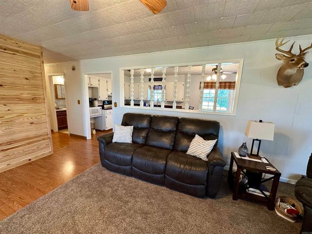 59 Judge Anderson, Strawberry, AR 72469