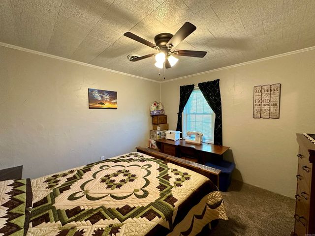 59 Judge Anderson, Strawberry, AR 72469