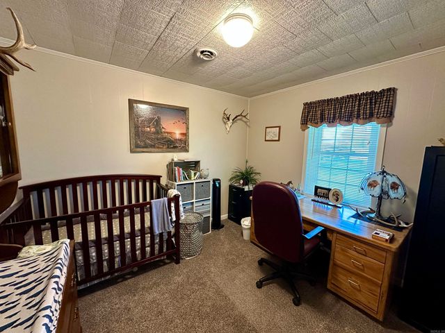 59 Judge Anderson, Strawberry, AR 72469