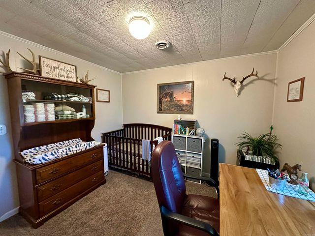 59 Judge Anderson, Strawberry, AR 72469