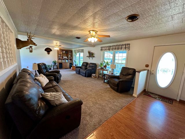 59 Judge Anderson, Strawberry, AR 72469