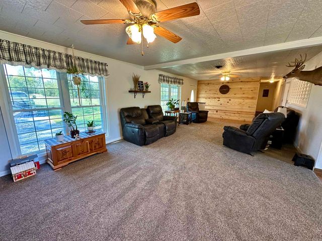59 Judge Anderson, Strawberry, AR 72469