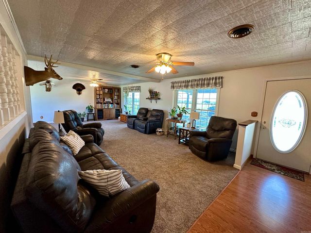 59 Judge Anderson, Strawberry, AR 72469