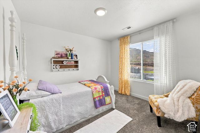 1373 S RAINTREE LN, Santaquin, UT 84655