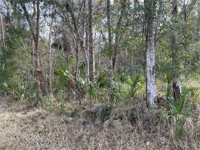 11106 W TOWNSEND LANE, Homosassa, FL 34448