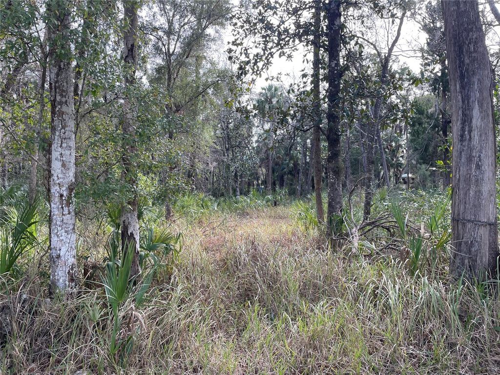 11106 W TOWNSEND LANE, Homosassa, FL 34448