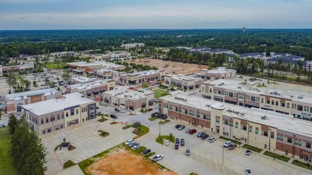 222 Crest Edge Street, Montgomery, TX 77316