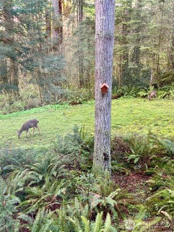 30606 NE Harrison Road, Battle Ground, WA 98604