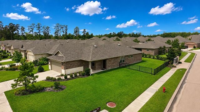 226 Flaxen Chestnut, Spring, TX 77382