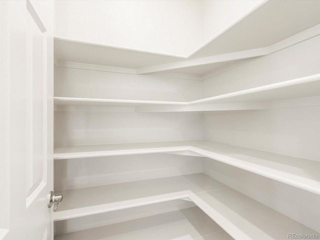 1626 Rumley Creek Dr, Windsor, CO 80550