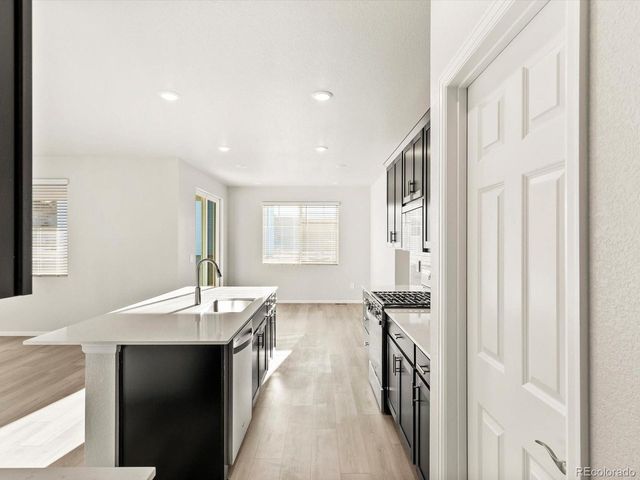 1626 Rumley Creek Dr, Windsor, CO 80550