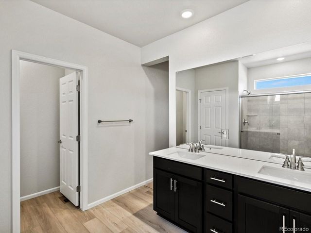 1626 Rumley Creek Dr, Windsor, CO 80550