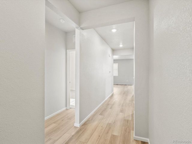 1626 Rumley Creek Dr, Windsor, CO 80550