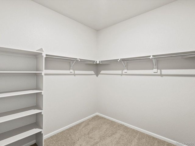 1626 Rumley Creek Dr, Windsor, CO 80550