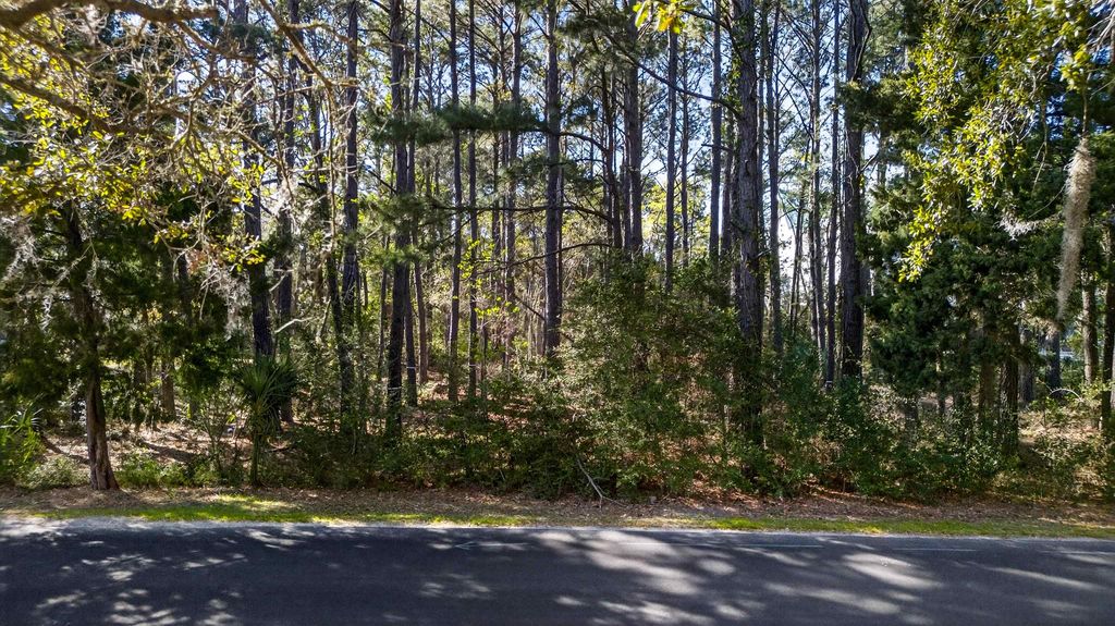 Lot 18 Luvan Blvd., Georgetown, SC 29440 — photo 3
