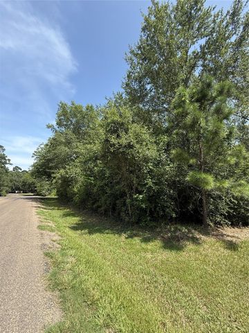 TBD Idlewilde, Onalaska, TX 77360