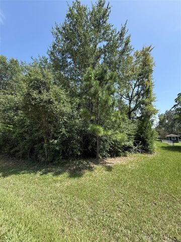 TBD Idlewilde, Onalaska, TX 77360
