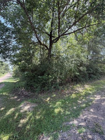 TBD Idlewilde, Onalaska, TX 77360