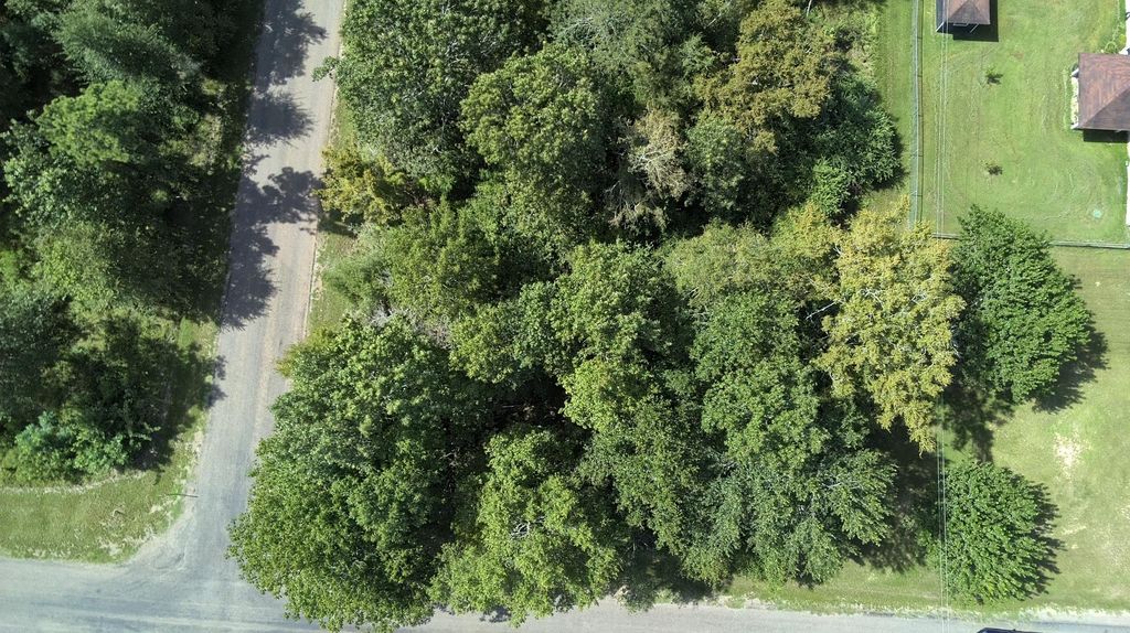 TBD Idlewilde, Onalaska, TX 77360