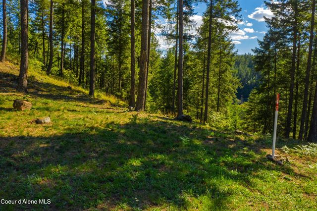 Wildflower Way, Sandpoint, ID 83864