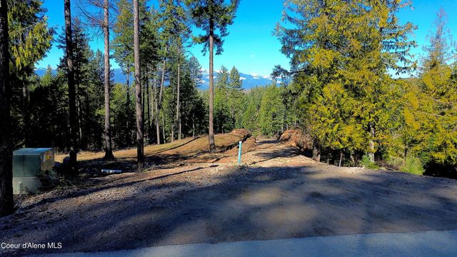 Wildflower Way, Sandpoint, ID 83864