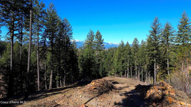 Wildflower Way, Sandpoint, ID 83864