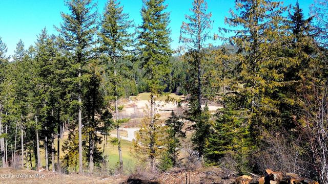 Wildflower Way, Sandpoint, ID 83864