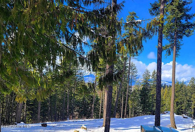 Wildflower Way, Sandpoint, ID 83864