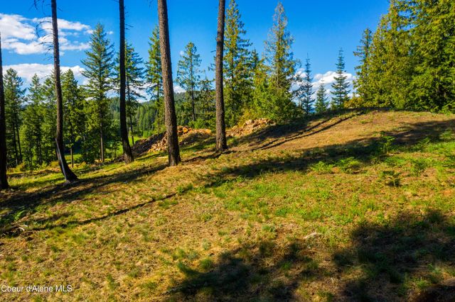 Wildflower Way, Sandpoint, ID 83864