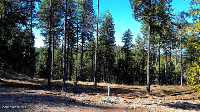 Wildflower Way, Sandpoint, ID 83864