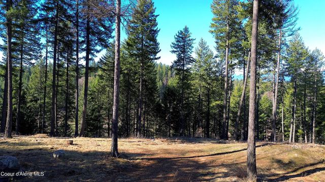 Wildflower Way, Sandpoint, ID 83864