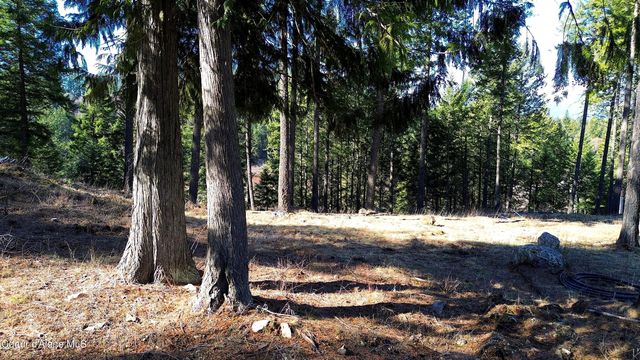 Wildflower Way, Sandpoint, ID 83864