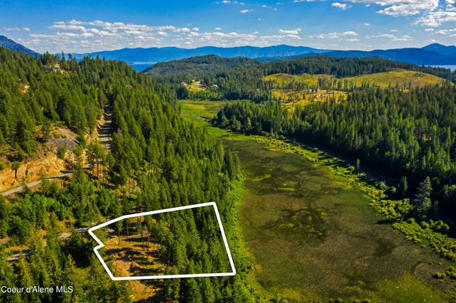 Wildflower Way, Sandpoint, ID 83864