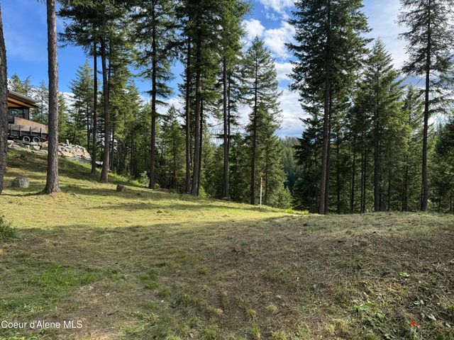 Wildflower Way, Sandpoint, ID 83864