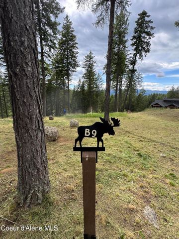 Wildflower Way, Sandpoint, ID 83864