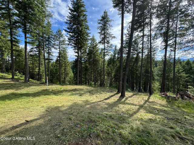 Wildflower Way, Sandpoint, ID 83864