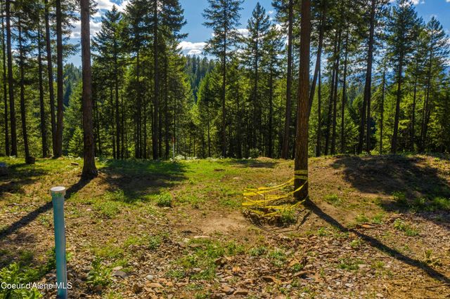 Wildflower Way, Sandpoint, ID 83864