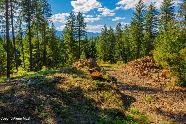 Wildflower Way, Sandpoint, ID 83864