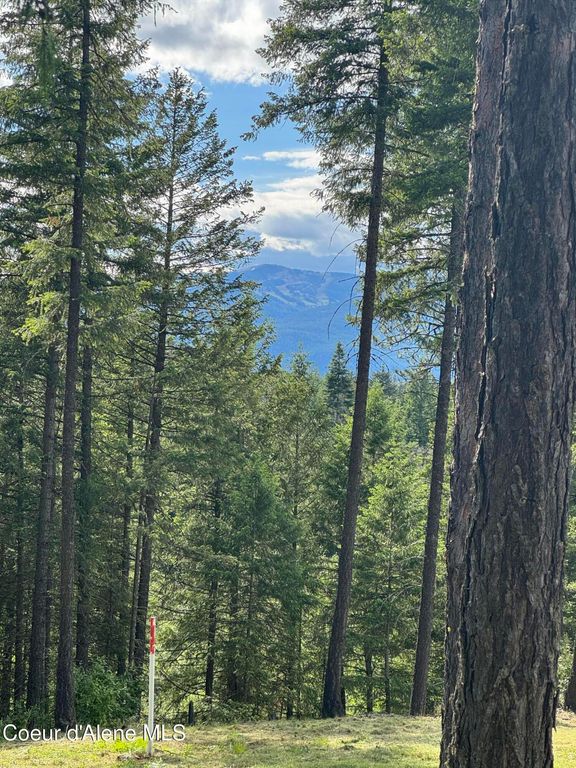 Wildflower Way, Sandpoint, ID 83864