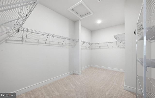 120 CHOKE CHERRY CT, Lake Frederick, VA 22630
