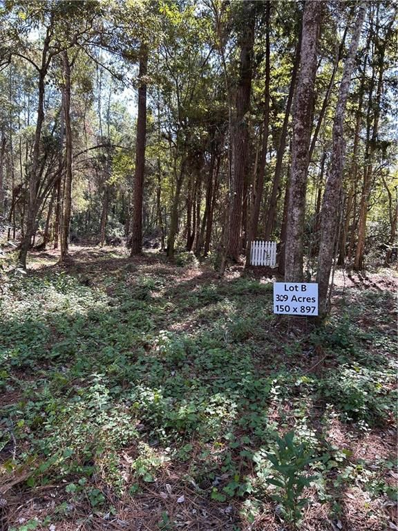12234 Bay Street, Fairhope, AL 36532 — photo 2