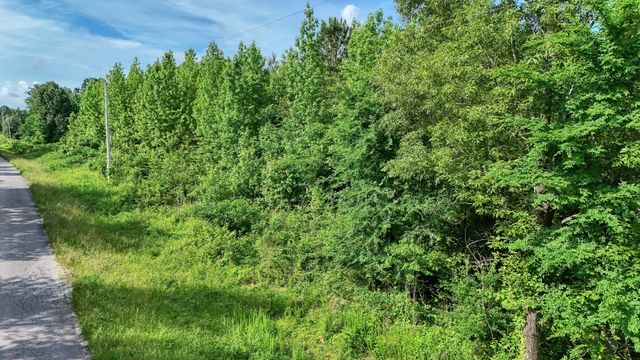 0 Ables Rd, Cottage Grove, TN 38224