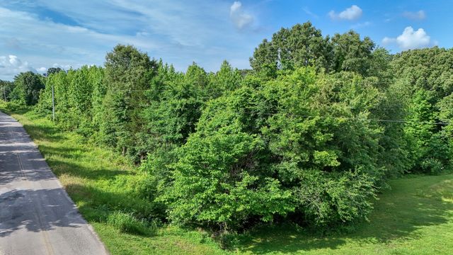 0 Ables Rd, Cottage Grove, TN 38224