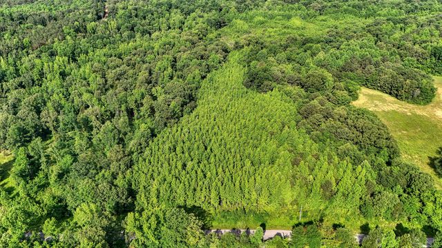 0 Ables Rd, Cottage Grove, TN 38224