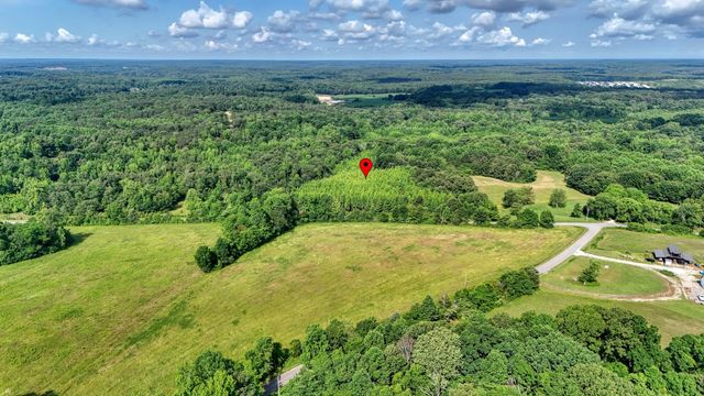 0 Ables Rd, Cottage Grove, TN 38224