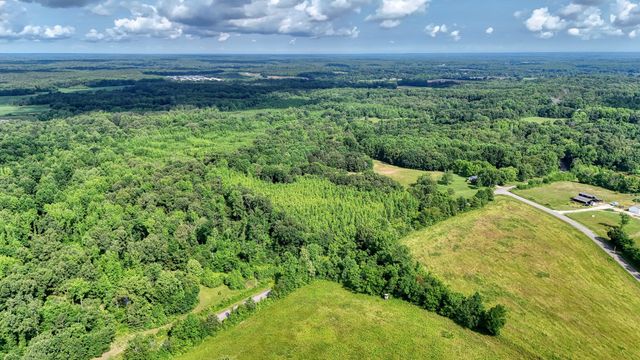 0 Ables Rd, Cottage Grove, TN 38224