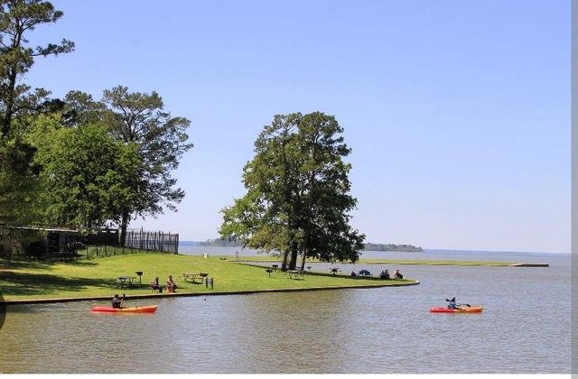 190 Briar Meadows Drive, Coldspring, TX 77331